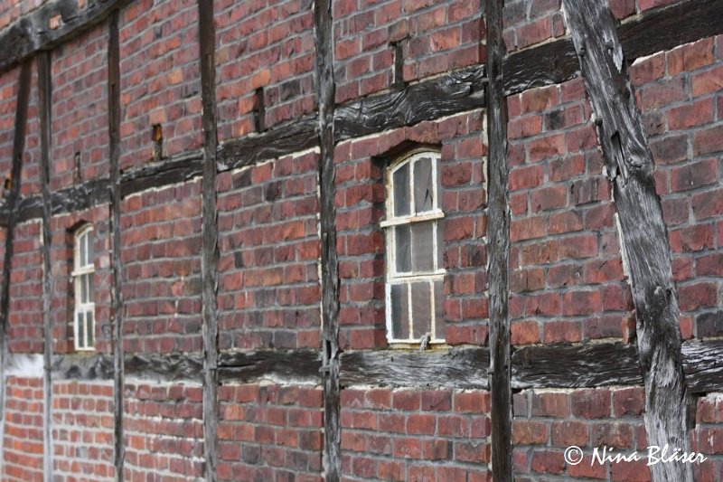 Airis Blue Volshebny Svet 2009-06-08 (26).JPG